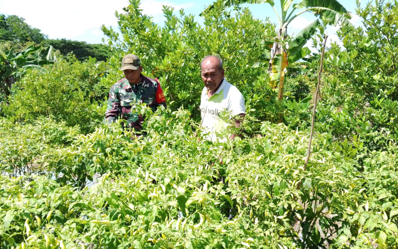 Sambangi Warga, Babinsa Sosialisasi Bahaya Karhutla di Kelurahan Teluk Binjai
