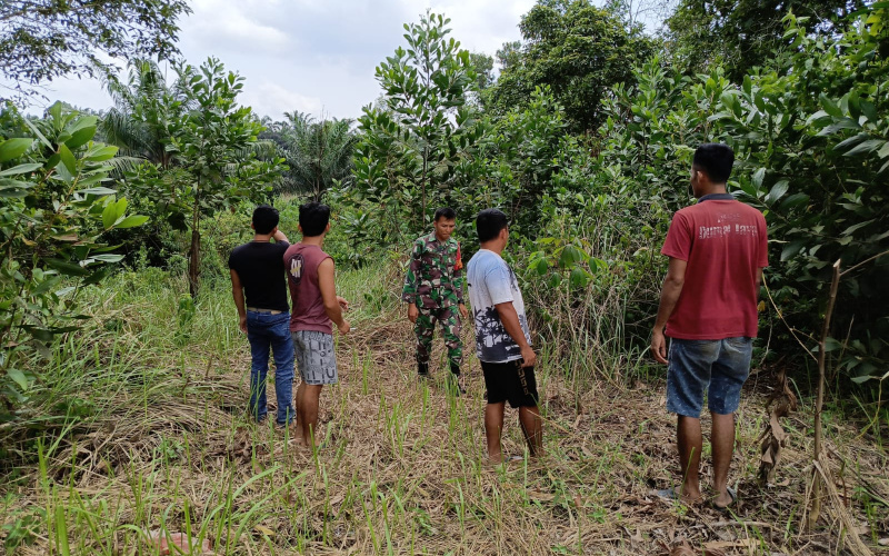 Gencar dalam Laksanakan Patroli, Babinsa Koramil 02/BK Cegah Karhutla