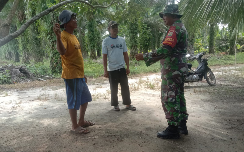Koramil 02 BK Serda Cerzakatno Patroli Mengantisipasi Karhutla