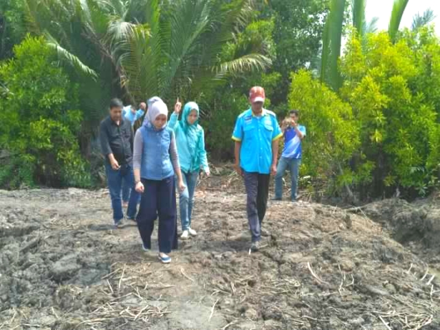 DLH Usulkan Kelompok Mangrove Pangkalan Batang Bengkalis Dapat Penghargaan Pemprov