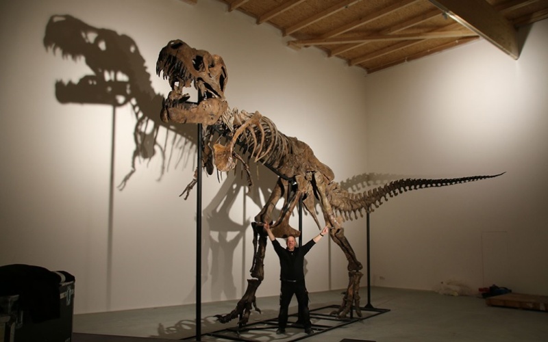 Imajinasi, Pendidikan dan Pengalaman Jumpa T.Rex Pertama Yang Tak Terlupakan