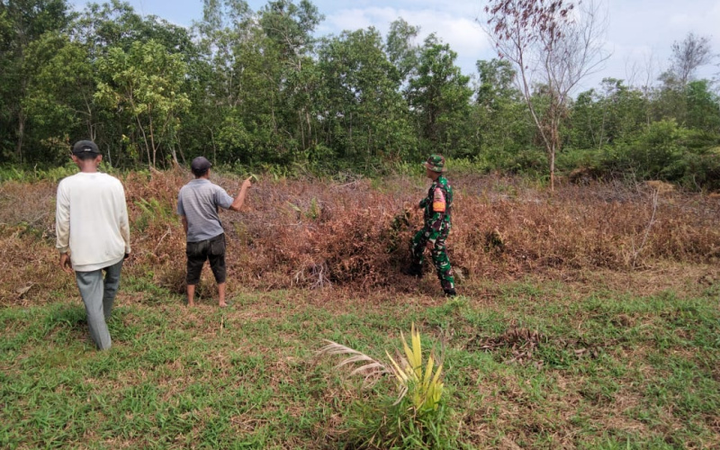 Patroli Rutin, Upaya Babinsa STDI Jaga Kelestarian Lingkungan