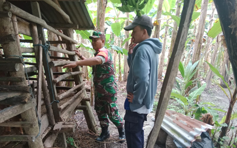 Sosialisasi PMK, Ini Penjelasan Serda Bambang Irwanto