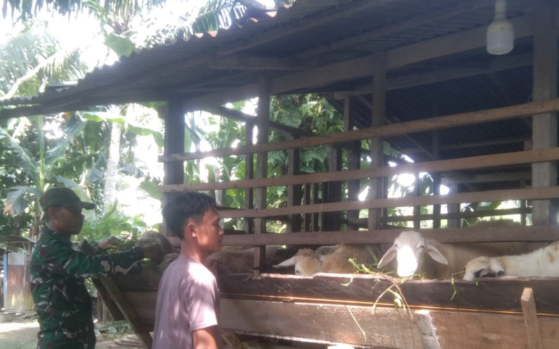 Babinsa Tanjung Penyebal Giat Komunikasi Sosial di Peternakan Warga