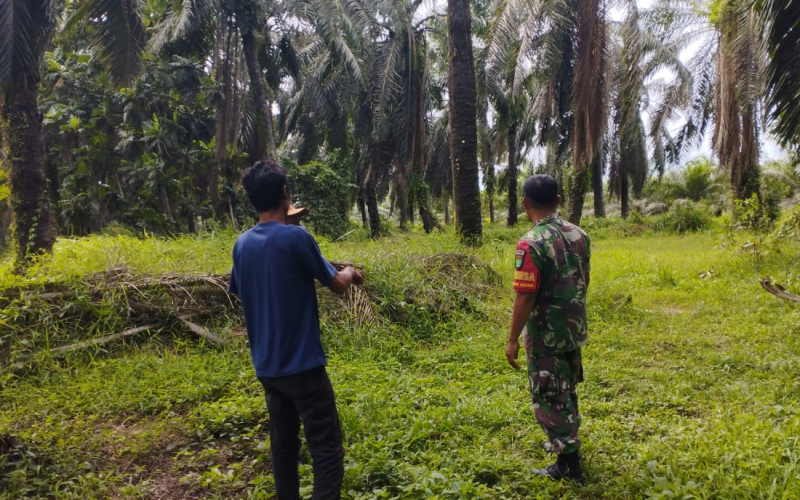 Babinsa Sungai Sembilan Imbau Warga Tidak Bakar Lahan