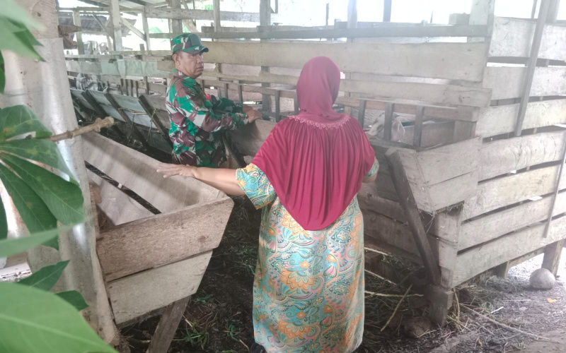 Di Peternakan Warga, Babinsa Purnama Sosialisasi Kesehatan