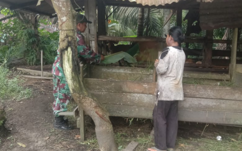 Sosialisasi, Upaya Babinsa Sertu Hendra Jaga Kesehatan di Peternakan
