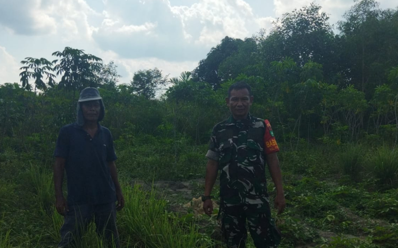 Patroli Karhutla dan Pendampingan Pertanian, Babinsa Pastikan Lahan Warga Aman dan Produktif
