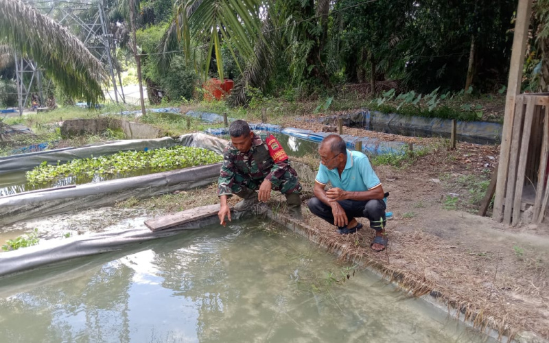 Babinsa Mekarsari Dukung Kembangkan Budidaya Ikan