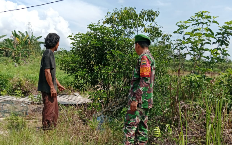 Babinsa Tanjung Palas Gandeng Warga Patroli Karhutla di Wilayah Rawan