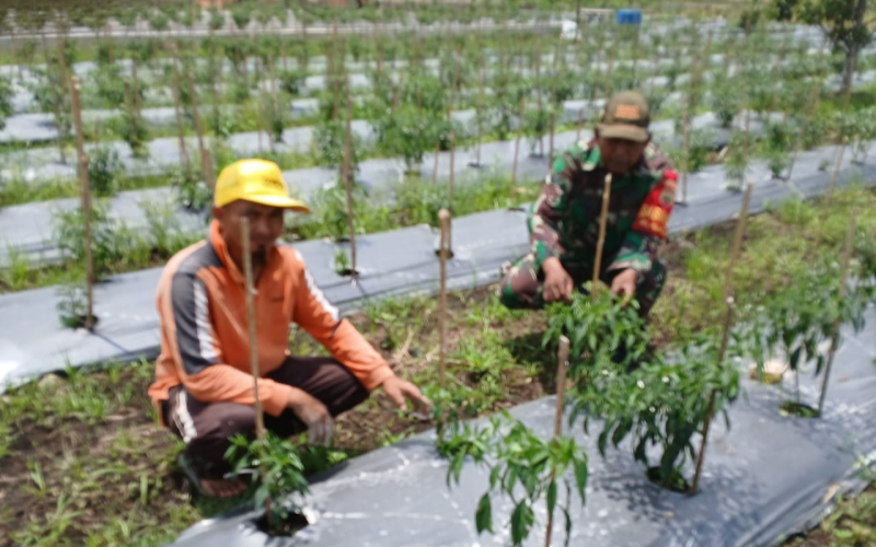 Babinsa Pelintung Gelar Komsos Upaya Mempererat Silaturahmi