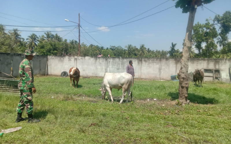 Babinsa Bagan Keladi Dampingi Peternakan di Wilayahnya, Sosialisasi Kesehatan