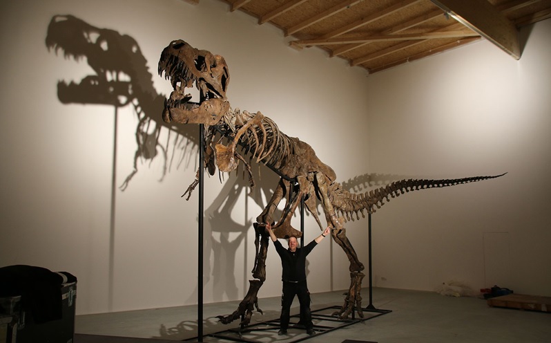 Imagination, education and unforgettable world's first encounter with a T. rex