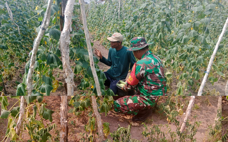 Pendampingan Karya Nyata oleh Babinsa Purnama