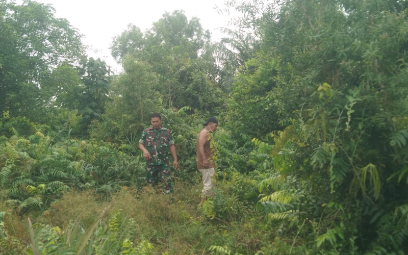 Babinsa Koramil 01 Dumai Patroli, Pastikan Wilayah Bebas dari Karhutla