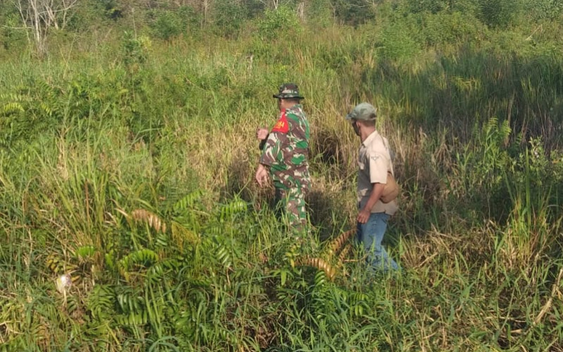 Patroli di Wilayah Rawan, Babinsa Kelurahan Sukajadi Cegah Karhutla