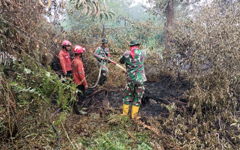 Babinsa Sei Geniot Edukasi dan Sosialisasi Pencegahan Karhutla