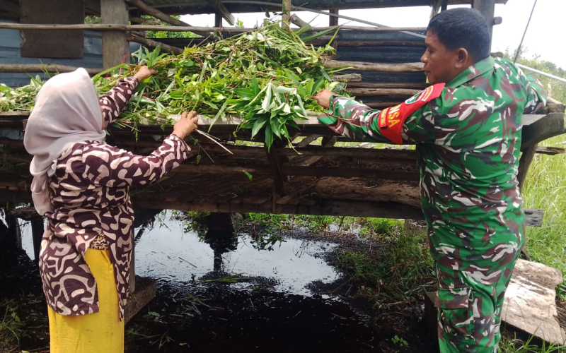 TNI Turun ke Lapangan, Babinsa Dumai Edukasi Warga Soal Kesehatan Hewan Ternak