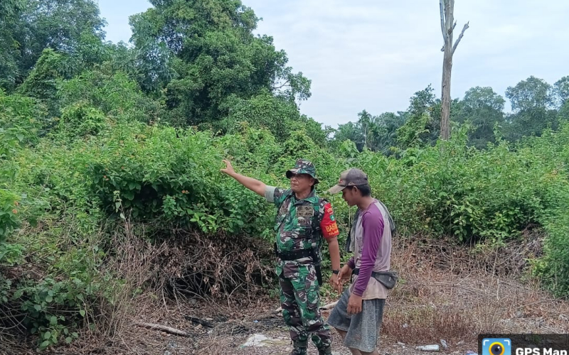 Patroli Rutin Babinsa Guntung Pastikan Wilayah Nihil Karhutla