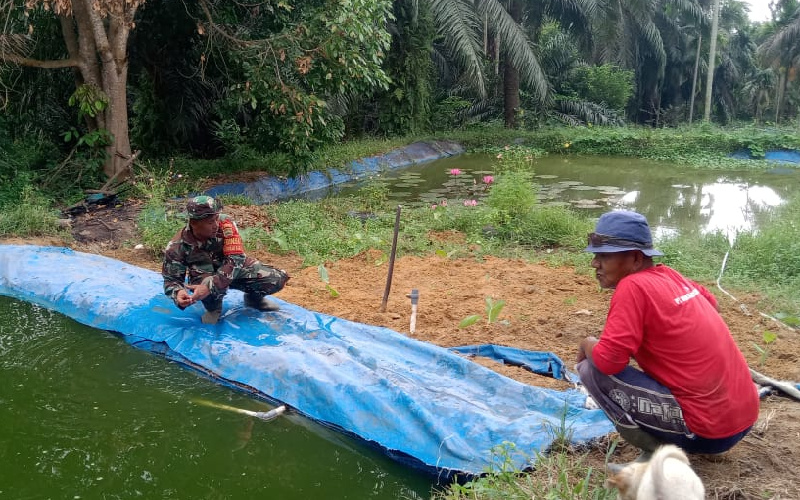 Upaya Mendukung Program Ketahanan Pangan oleh Babinsa Mekarsari