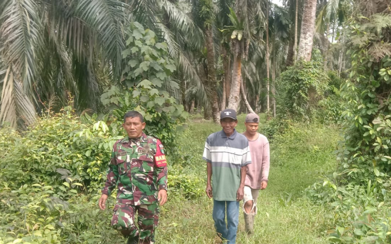 Patroli Nihil Titik Api, Koramil 03 Fokus Awasi Lahan Gambut Rawan Karlahut