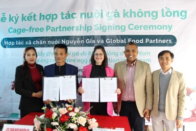 Global Food Partners' Impact Incentives Program Drives Vietnam’s Largest Transition to Cage-free Egg Production