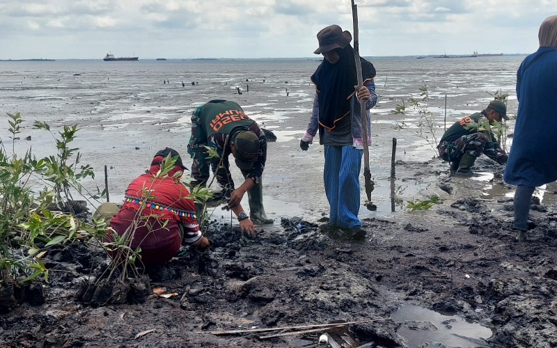 Hadiri Penanaman 2000 Pohon Mangrove, ini Pesan Dandim Dumai