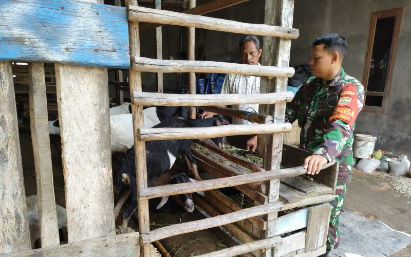 Babinsa Jaya Mukti Sosialisasi Kesehatan Ternak, Warga Apresiasi