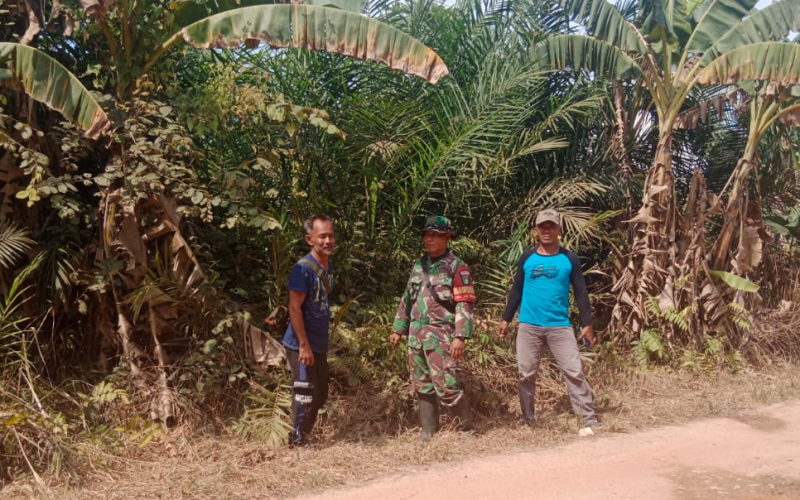 Cegah Dini Karhutla, Babinsa Koramil 03 Sungai Sembilan Laksanakan Patroli di Wilayah Binaan