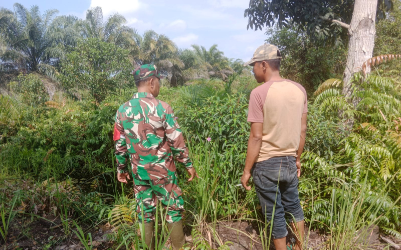 Koramil 01 Dumai Laksanakan Patroli Karhutla, Jaga Wilayah