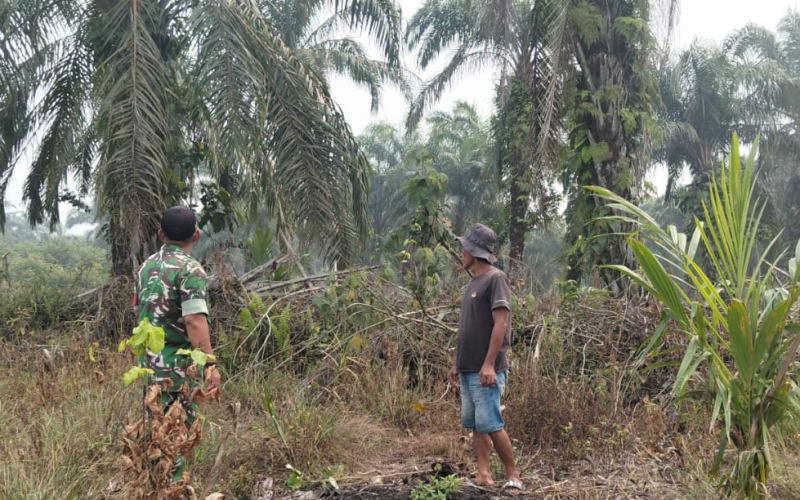 Pastikan Lahan Aman, Babinsa Koramil 02/Bukit Kapur Patroli Cegah Karhutla
