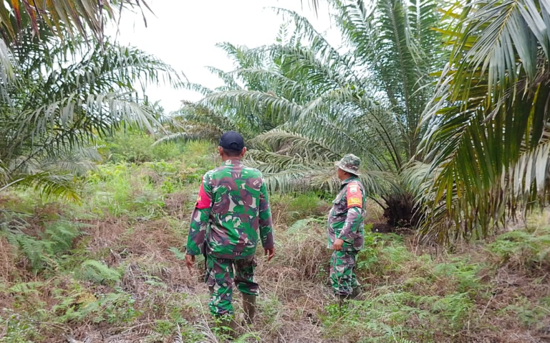 Dua Babinsa Koramil 02 Turun ke Lapangan, Warga Diingatkan Jangan Bakar Lahan