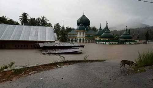 Korban Longsor Limapuluh Kota Terus Bertambah, Sudah 6 Warga Tewas 