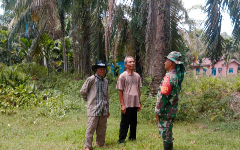 Babinsa Kelurahan Sei Geniot Laksanakan Pendampingan  Pada Peternakan Sapi