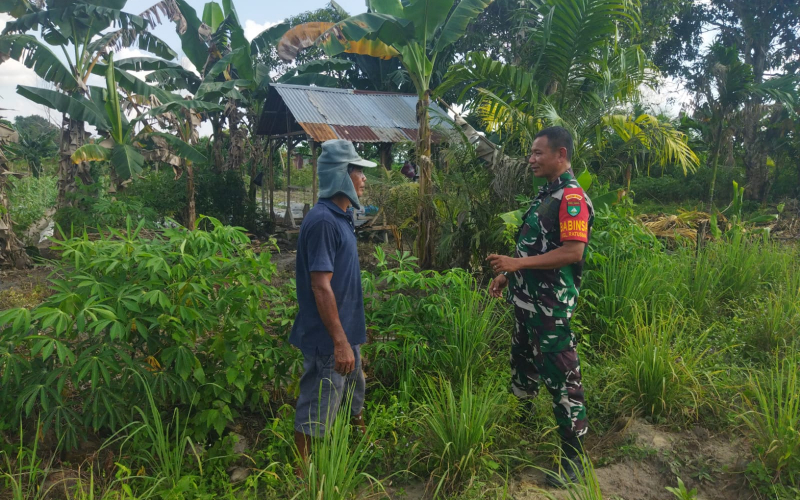 Patroli Karhutla Babinsa Dumai Dibarengi Karya Nyata Penanaman Sayur