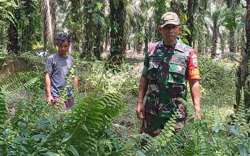 Di Daerah Rawan Karhutla, Serka M. Aslim Lubis Rutin Patroli