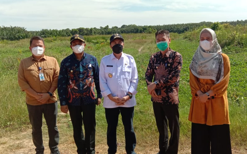 Bupati dan Wabup Rohil Dampingi Gubernur Riau Tinjau Kondisi Jalan Lintas Pesisir Rohil