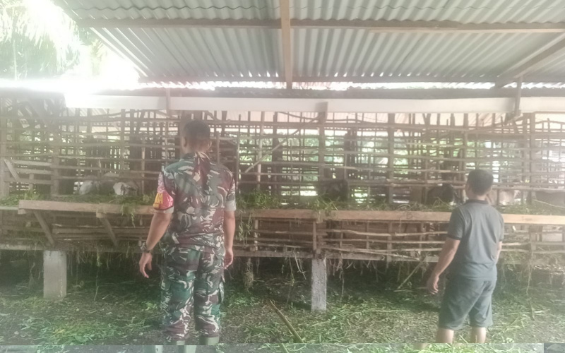 Babinsa Bagan Keladi Beri Pesan Terkait Kebersihan di Peternakan