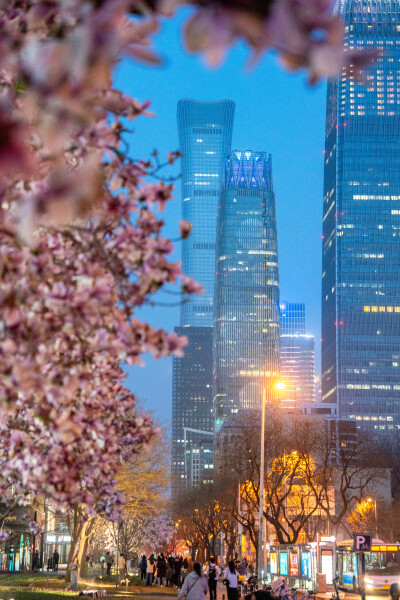 Beijing Chaoyang Garden Festival Kicks Off in the Bustling City