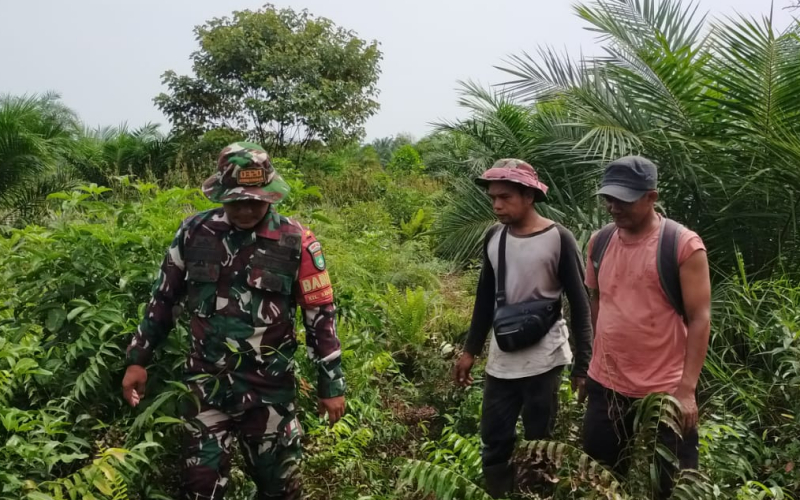 Patroli Rutin Babinsa Koramil 03 Sungai Sembilan Pastikan Wilayah Bebas Karhutla
