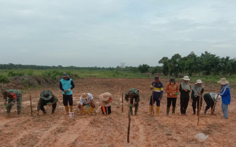 Kodim Dumai Lakukan Penanaman Padi Gogo di 2 Lokasi