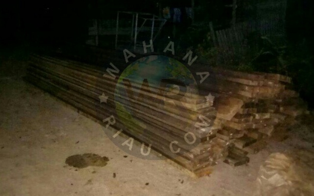 Diduga Illegal Loging Masih Marak di Kecamatan Sungai Sembilan Dumai