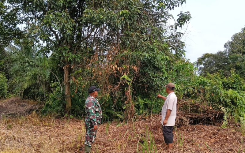 Langkah Preventif Karhutla, Babinsa Bagan Besar Lakukan Patroli dan Edukasi Warga