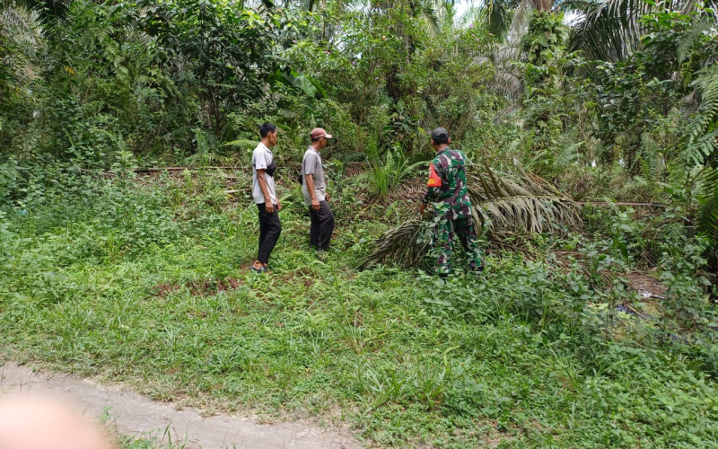 Serka M.Aslim Lubis Patroli dan Sosialisasi Cegah Karhutla
