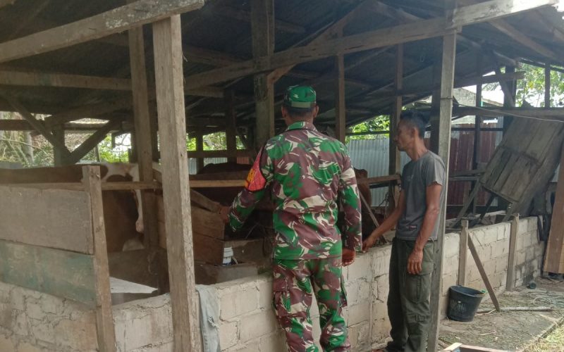 Sertu Afnal Sampaikan Pesan Jaga Kesehatan Ternak Warga