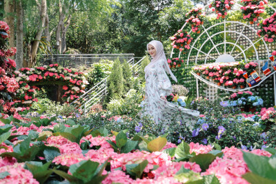 Jangan Lewatkan Surga Tersembunyi di Taiwan - Jelajahi Keindahan Taiwan Tengah Eksplorasi Ekslusif bersama Traveloka & Cathay Pacific.