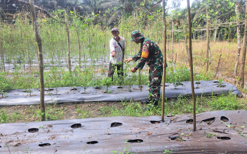Babinsa Serda Andri Widodo Lakukan Sosialisasi dan Karya Nyata di Kebun RT 01