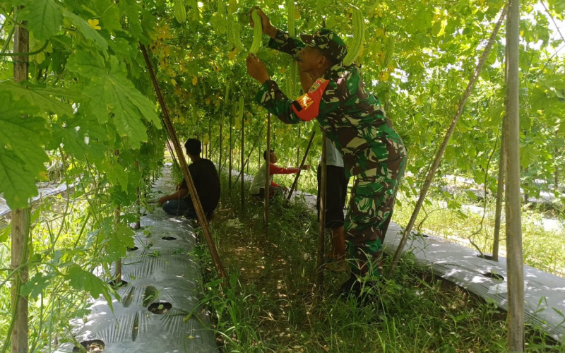 Babinsa Gurun Panjang Pendampingan Karya Nyata, Berikut Paparannya