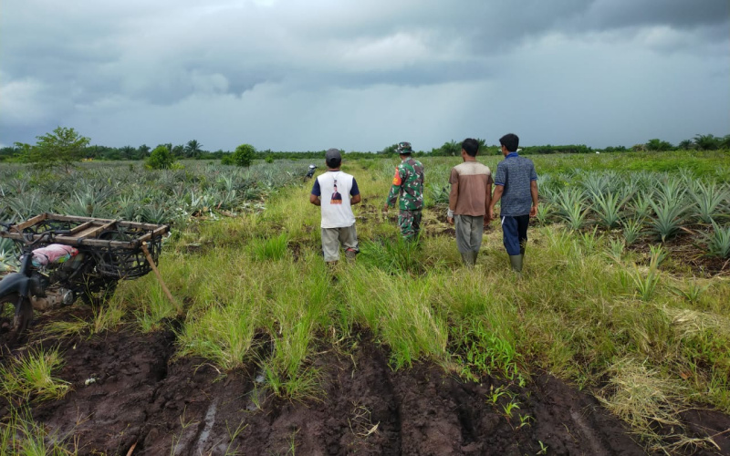 Koramil 03 Giat Patroli di Tempat-tempat yang Rawan Karhutla