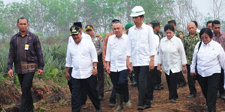 Presiden Jokowi Berkunjung ke Riau Dua Hari, Berikut Agendanya...
